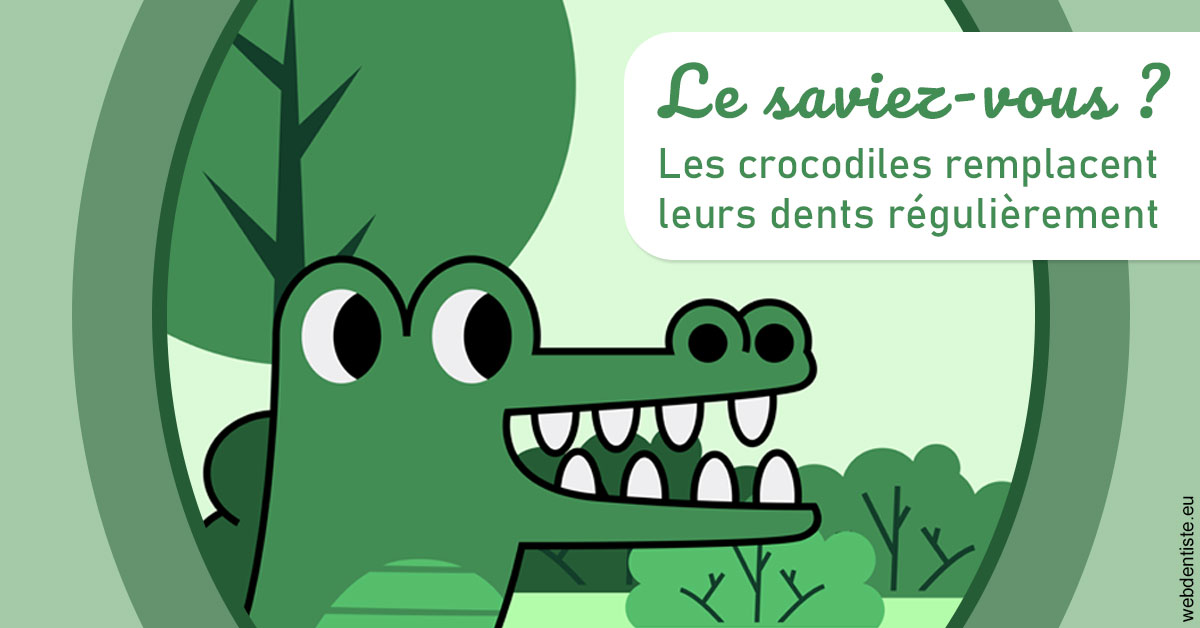 https://dr-julien-buffet.chirurgiens-dentistes.fr/Crocodiles 2
